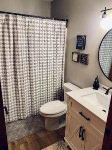 a bathroom with a toilet and a shower curtain at Myers Chalet in Ellicottville
