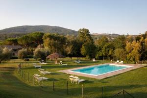 basen na trawiastym polu z leżakami w obiekcie Agriturismo Villetta Di Monterufoli w mieście Monteverdi Marittimo