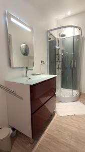 uma casa de banho com um lavatório e um chuveiro com um espelho. em Domaine de l'Hôtel au Franc em Fleury