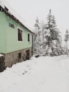 FoRest Chalet v zime