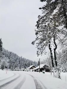 FoRest Chalet v zime