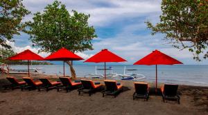 a group of chairs and umbrellas on a beach at Bali Taman Lovina Resort & Spa Suites in Lovina +35 photos