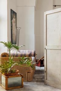 un soggiorno con divano e piante in vaso di Stabilimento Wine & Design Apartment a Campi Salentina