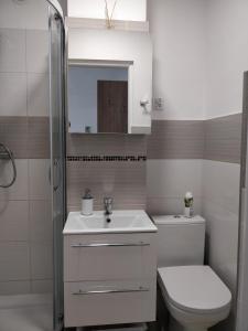 a bathroom with a toilet and a sink and a shower at Apartament Hel Leśna 8 in Hel
