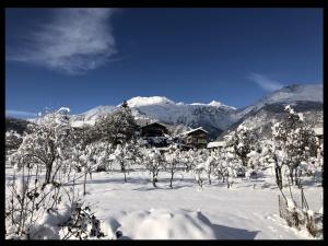 a house in the snow with trees and mountains at Alla Bastilla B&B in Gravere