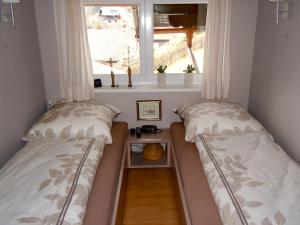 2 Betten in einem kleinen Zimmer mit Fenster in der Unterkunft Seegarten Appartements in Feld am See