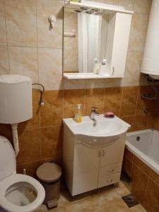 a bathroom with a toilet and a sink and a mirror at Apartman Kneginja in Trstenik