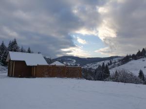 a building covered in snow in a snowy field at Над фермою in Nizhne-Studënyy