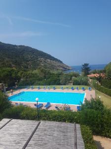 een groot zwembad met een berg op de achtergrond bij Marta's Holidays Home in Nisporto