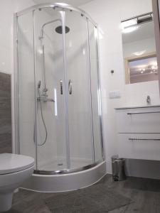 ein Bad mit einer Dusche, einem WC und einem Waschbecken in der Unterkunft Domek pod świerkami in Kudowa-Zdrój