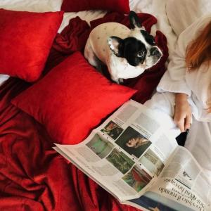 Postel nebo postele na pokoji v ubytování Orange Hotel