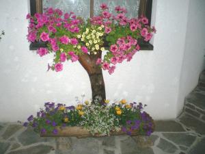 A garden outside Ferienhaus Blümel inkl. freier Strandbadeintritt