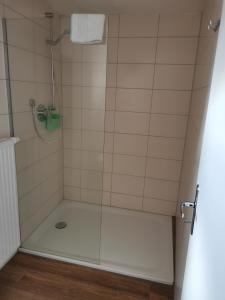 a shower with a glass door in a bathroom at Pension Nachtigall in Gottfrieding