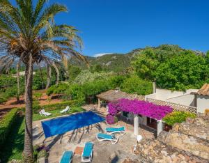 an aerial view of a house with palm trees and purple flowers at Can Miquel in Pollença
