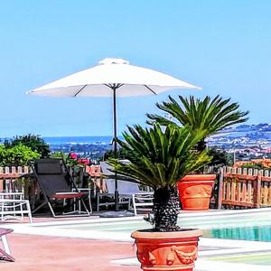 a patio with an umbrella and a pool with palm trees at Agriturismo Rosa Antica in Monte San Vito