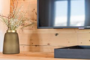 wazon siedzący na stole obok telewizora w obiekcie Bellavista Apartment w mieście Dobbiaco