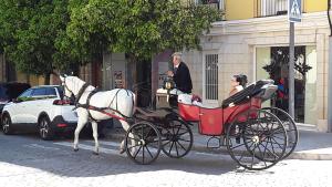 Hosté ubytování Sherryflat La Estación - Parking