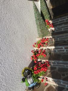 A garden outside Ferienhaus Blümel inkl. freier Strandbadeintritt