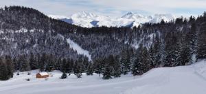 Photo de la galerie de l'établissement Appartement cocooning avec vue sur les Pyrénées, à Argelès-Gazost