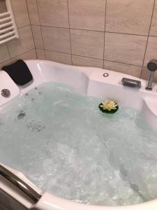 a bath tub filled with water with a flower in it at Fehérló Vendégház & Restaurant in Bük