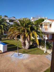 A garden outside Dafne's Beach