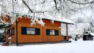 Ferienhaus Rauscher v zime