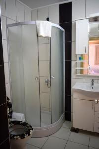 ein Bad mit einer Dusche, einem WC und einem Waschbecken in der Unterkunft Apartmani Radoičić in Jošanička Banja