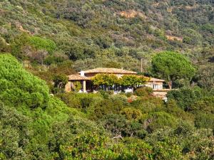 a house on the side of a hill with trees at Massacan-Vue Mer in Le Lavandou