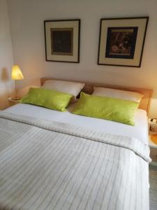 バート・ザルツフレンにあるResidenz am Kurparkのベッドルーム1室(大型ベッド1台、緑の枕付)