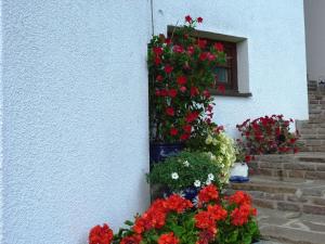 A garden outside Ferienhaus Blümel inkl. freier Strandbadeintritt