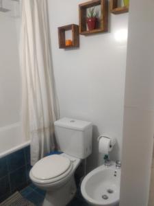 a bathroom with a white toilet and a sink at Departamento Lemos 678 in Mendoza +21 photos