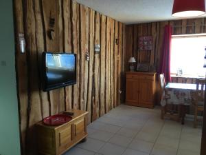 a living room with a tv on a wooden wall at Appartement chalet Bellevue-pied de la montagne - Mont Dore in Le Mont-Dore