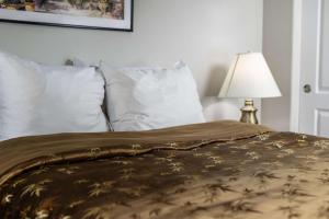 a bed with a brown blanket on it with a lamp at Dundee Park Place in Dundee