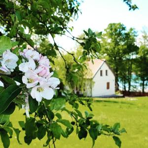 En hage utenfor Apartament w Muzeum Michała Kajki