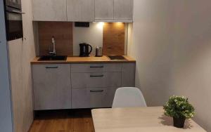 a kitchen with a table and a counter top at Ozas Green Apartment in Vilnius