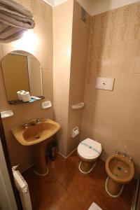 La salle de bains est pourvue d'un lavabo et de toilettes. dans l'établissement Hotel Arona, à Villa Carlos Paz