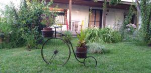 Una bicicleta con macetas en un patio en Cabañas El Desván, en Puente Negro