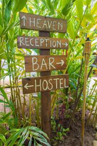 Taman di luar Playa 506 Beachfront Hostel