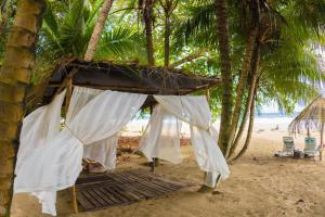 Taman di luar Playa 506 Beachfront Hostel