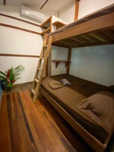 Katil atau katil-katil dalam bilik di Playa 506 Beachfront Hostel