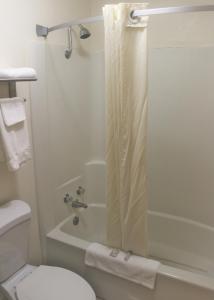 a bathroom with a shower curtain and a toilet at Interstate Motel in Rensselaer