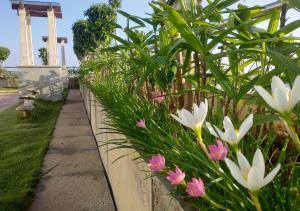 Zahrada ubytování Grand Gardenia