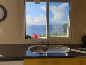 a kitchen counter with a sink and a window at Habitation Noelesse in Beauregard