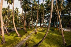a row of palm trees next to the beach at Sea Shell Resort & Spa, Havelock in Havelock Island