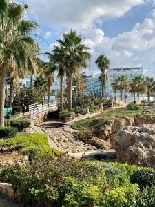 Příroda nedaleko vily