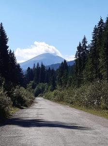 un camino vacío con una montaña en el fondo en Говерлянка, en Vorokhta