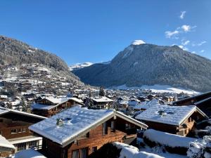 Gallery image of Piste B in Morzine