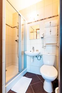 uma casa de banho com um WC, um lavatório e um chuveiro em Dunajecki Dworek em Biały Dunajec
