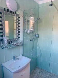 y baño con ducha acristalada y lavamanos. en VILLA GHERMAN, en Sălciua de Jos