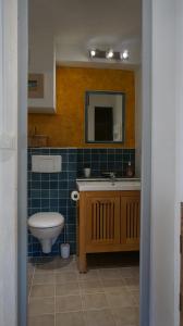 a bathroom with a toilet and a sink and a mirror at Mas St. Joseph in Ille-sur-Têt